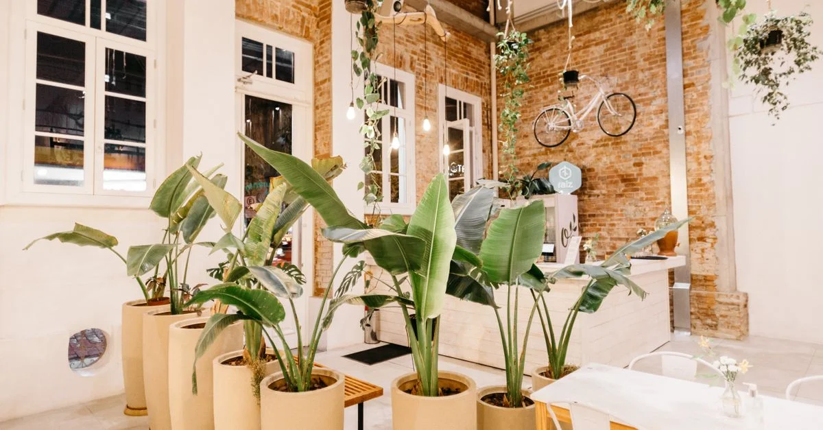 Espace de vie intérieur lumineux et élégant avec des plantes, des murs en briques et des éléments de décoration modernes.