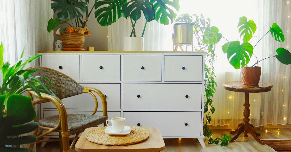 Salon lumineux avec un cabinet blanc, une chaise tissée et des plantes d'intérieur luxuriantes pour une atmosphère sereine.